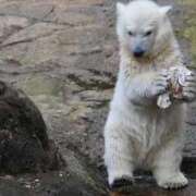 ヒメ日記 2025/07/27 11:50 投稿 ひろこ 川崎・蒲田おかあさん