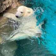 ヒメ日記 2025/07/29 13:01 投稿 ひろこ 川崎・蒲田おかあさん