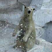 ヒメ日記 2025/08/15 12:20 投稿 ひろこ 川崎・蒲田おかあさん