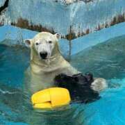 ヒメ日記 2025/08/16 12:00 投稿 ひろこ 川崎・蒲田おかあさん