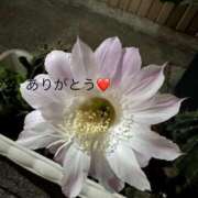 ヒメ日記 2025/08/16 19:01 投稿 ひろこ 川崎・蒲田おかあさん