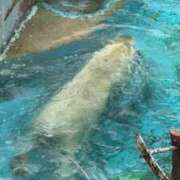 ヒメ日記 2025/08/18 19:50 投稿 ひろこ 川崎・蒲田おかあさん