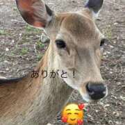 ヒメ日記 2025/08/21 13:30 投稿 ひろこ 川崎・蒲田おかあさん