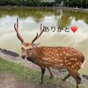 ヒメ日記 2025/08/23 13:20 投稿 ひろこ 川崎・蒲田おかあさん