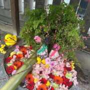 ヒメ日記 2025/08/28 16:50 投稿 ひろこ 川崎・蒲田おかあさん