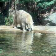 ヒメ日記 2025/09/01 20:20 投稿 ひろこ 川崎・蒲田おかあさん