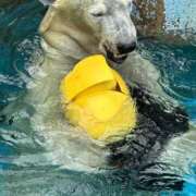 ヒメ日記 2025/09/03 09:40 投稿 ひろこ 川崎・蒲田おかあさん