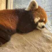 ヒメ日記 2025/09/08 17:50 投稿 ひろこ 川崎・蒲田おかあさん