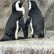 ヒメ日記 2025/09/16 10:40 投稿 ひろこ 川崎・蒲田おかあさん