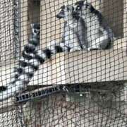 ヒメ日記 2025/09/17 09:50 投稿 ひろこ 川崎・蒲田おかあさん