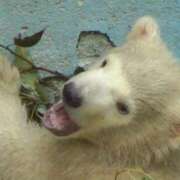 ヒメ日記 2025/09/18 14:20 投稿 ひろこ 川崎・蒲田おかあさん