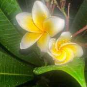 ヒメ日記 2025/09/19 12:20 投稿 ひろこ 川崎・蒲田おかあさん