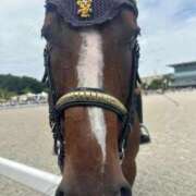 ヒメ日記 2025/09/23 12:30 投稿 ひろこ 川崎・蒲田おかあさん