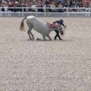 ヒメ日記 2025/09/24 23:00 投稿 ひろこ 川崎・蒲田おかあさん