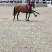 ヒメ日記 2025/09/25 23:20 投稿 ひろこ 川崎・蒲田おかあさん