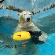 ヒメ日記 2025/09/29 09:20 投稿 ひろこ 川崎・蒲田おかあさん