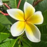 ヒメ日記 2025/10/09 11:00 投稿 ひろこ 川崎・蒲田おかあさん