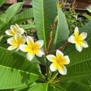 ヒメ日記 2025/10/10 20:20 投稿 ひろこ 川崎・蒲田おかあさん