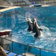 ヒメ日記 2025/10/20 09:50 投稿 ひろこ 川崎・蒲田おかあさん