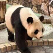 ヒメ日記 2025/11/06 10:20 投稿 ひろこ 川崎・蒲田おかあさん