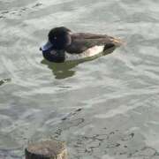 ヒメ日記 2025/11/12 10:10 投稿 ひろこ 川崎・蒲田おかあさん