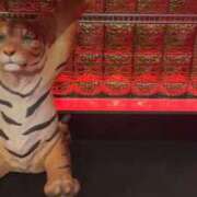 ヒメ日記 2025/11/24 10:50 投稿 ひろこ 川崎・蒲田おかあさん