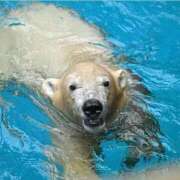 ヒメ日記 2025/11/28 10:31 投稿 ひろこ 川崎・蒲田おかあさん