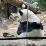 ひろこ ありがとう① 川崎・蒲田おかあさん