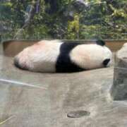 ひろこ ありがとう② 川崎・蒲田おかあさん