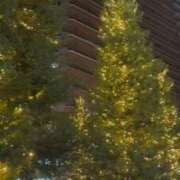 ヒメ日記 2025/12/18 21:00 投稿 ひろこ 川崎・蒲田おかあさん