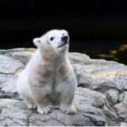 ヒメ日記 2025/12/19 10:20 投稿 ひろこ 川崎・蒲田おかあさん