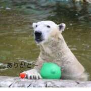 ヒメ日記 2025/12/20 00:20 投稿 ひろこ 川崎・蒲田おかあさん