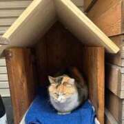 ヒメ日記 2025/12/22 15:31 投稿 ひろこ 川崎・蒲田おかあさん