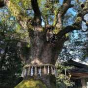 ヒメ日記 2026/01/07 15:30 投稿 ひろこ 川崎・蒲田おかあさん