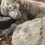 ヒメ日記 2026/01/08 09:50 投稿 ひろこ 川崎・蒲田おかあさん