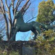 ヒメ日記 2026/01/09 09:20 投稿 ひろこ 川崎・蒲田おかあさん