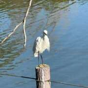 ヒメ日記 2026/01/10 09:50 投稿 ひろこ 川崎・蒲田おかあさん