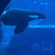 ヒメ日記 2026/01/10 16:00 投稿 ひろこ 川崎・蒲田おかあさん