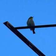 ヒメ日記 2026/01/12 08:50 投稿 ひろこ 川崎・蒲田おかあさん