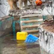 ヒメ日記 2026/01/21 20:50 投稿 ひろこ 川崎・蒲田おかあさん