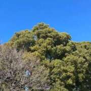 ヒメ日記 2026/01/24 09:50 投稿 ひろこ 川崎・蒲田おかあさん