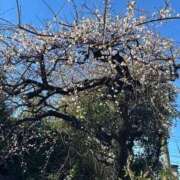 ヒメ日記 2026/01/26 09:50 投稿 ひろこ 川崎・蒲田おかあさん