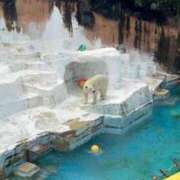 ヒメ日記 2026/01/30 20:20 投稿 ひろこ 川崎・蒲田おかあさん