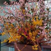 ヒメ日記 2025/04/03 11:20 投稿 みお 川崎・蒲田おかあさん