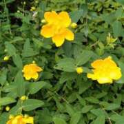 ヒメ日記 2025/06/05 16:00 投稿 みお 川崎・蒲田おかあさん