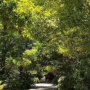 ヒメ日記 2025/07/20 21:20 投稿 みお 川崎・蒲田おかあさん