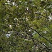 ヒメ日記 2025/08/02 11:40 投稿 みお 川崎・蒲田おかあさん