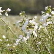ヒメ日記 2025/09/20 17:20 投稿 みお 川崎・蒲田おかあさん