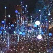 ヒメ日記 2025/12/19 12:30 投稿 みお 川崎・蒲田おかあさん