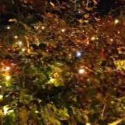 みお ☆メリークリスマス☆ 川崎・蒲田おかあさん